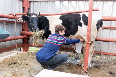 itsthatkiwigirl onlyfans|Farmer and OnlyFans Star Milks Cows In Her Tiny Bikini